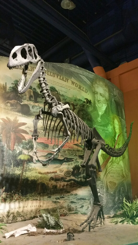 This image has an empty alt attribute; its file name is Dinosaur_Museum_Sandown_Isle_of_Wight_DazzaD.shutterstock_g-576x1024.jpg