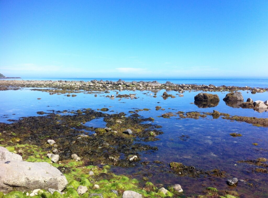 This image has an empty alt attribute; its file name is Steephill_Cove_Isle_of_Wight_naturewonder000_Shutterstock-1024x756.jpg