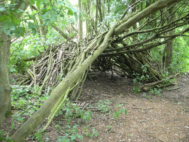 shelter woodland experience