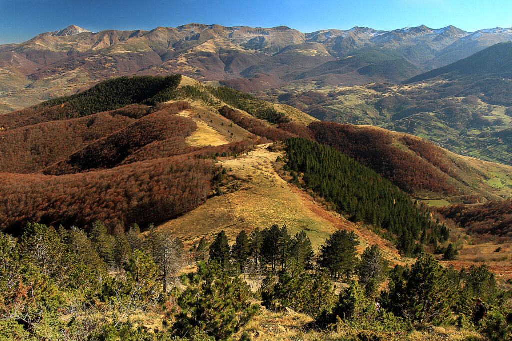 Sharr Mountains National Park Kosovo Balkans