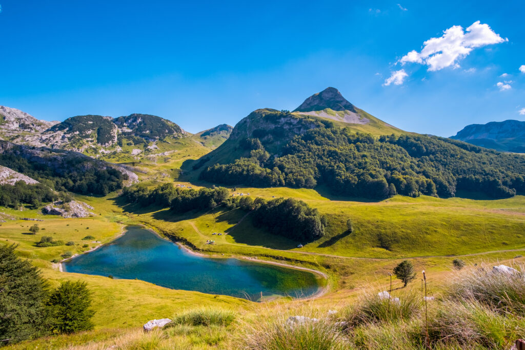 Sutjeska National Park Bosnia and Herzegovina 