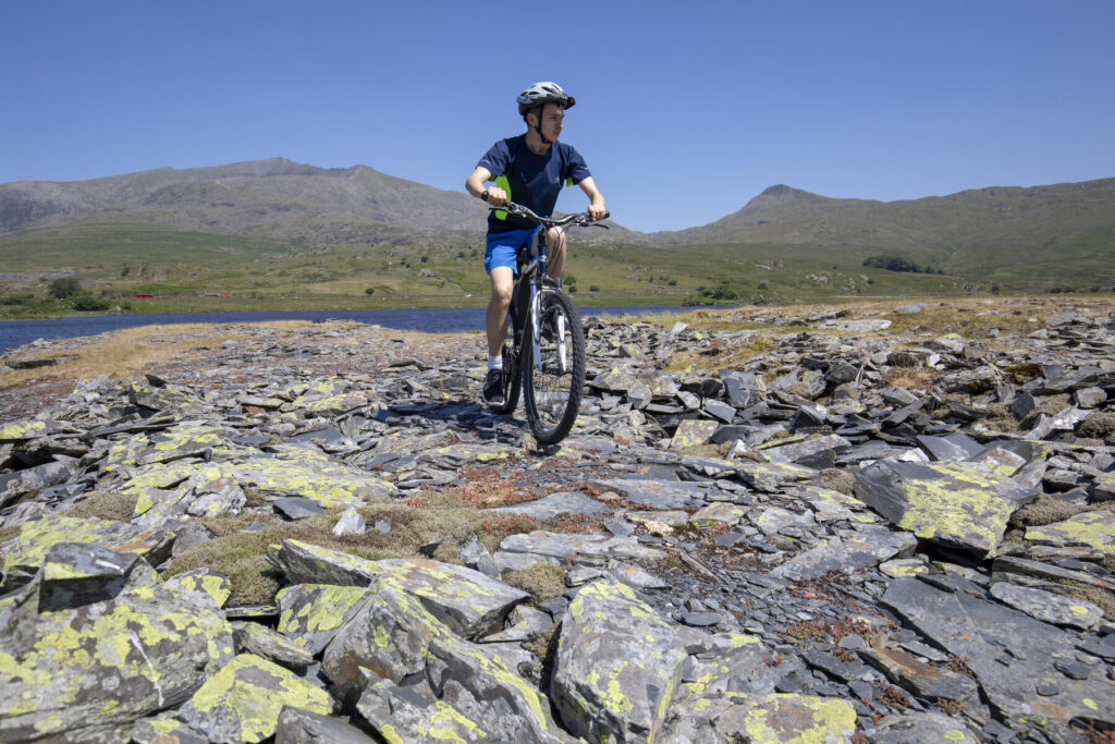 cycling Snowdonia wildlife 