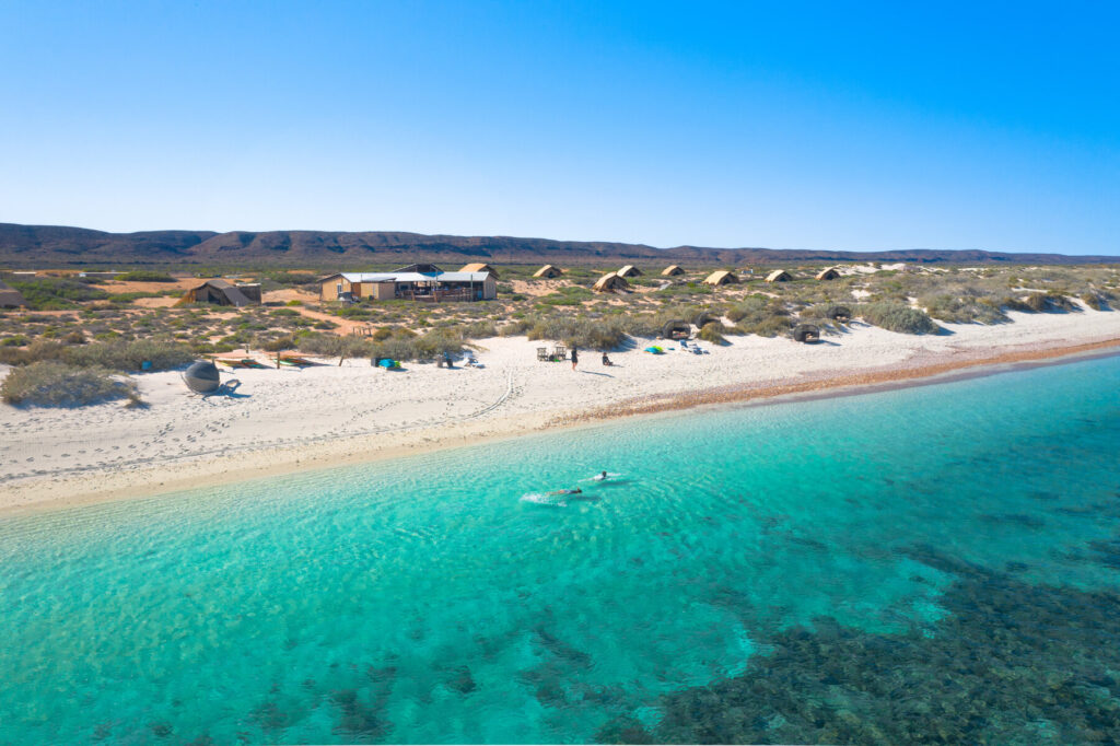 This image has an empty alt attribute; its file name is Ningaloo_Reef_Western_Australia_Sal-Salis-Ningaloo-Reef-1-1024x682.jpg