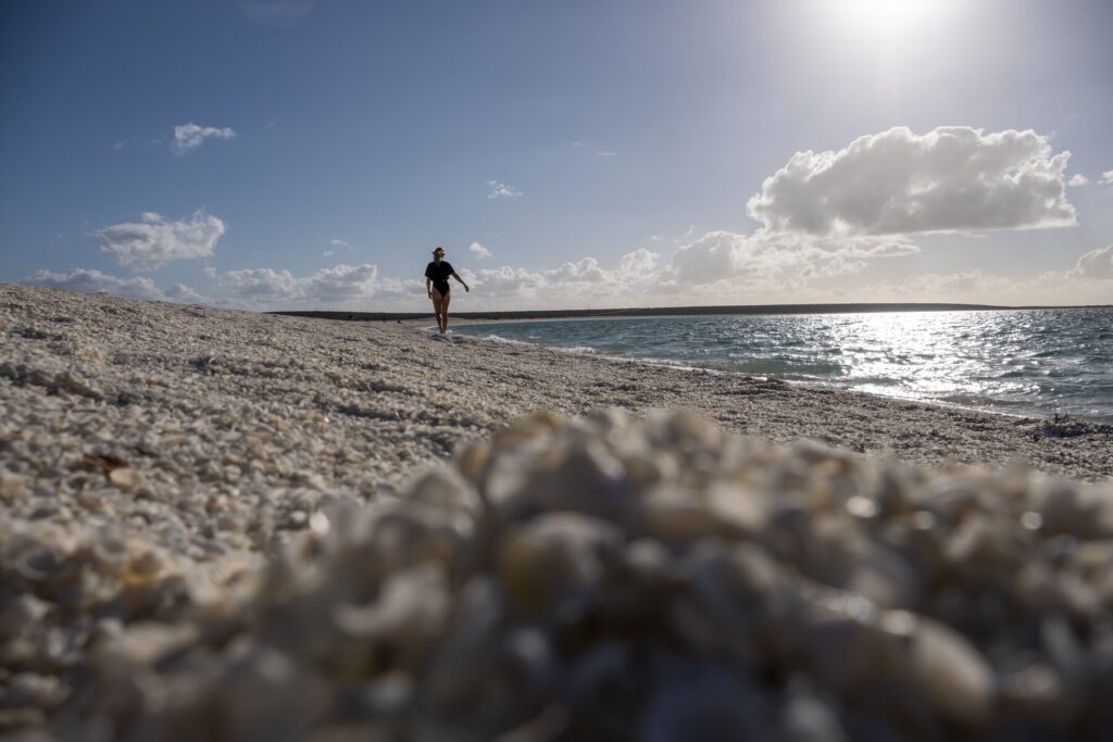 Shell Beach Western Australia natural wonders 