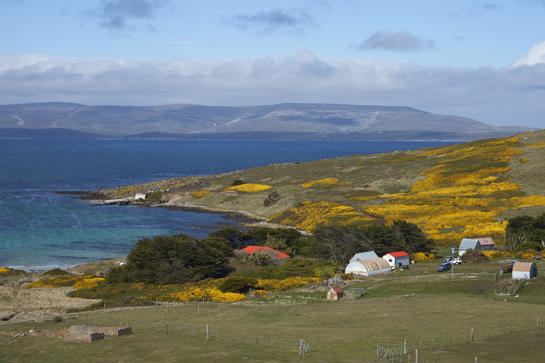 Health and safety on the Falkland Islands Bradt Guides