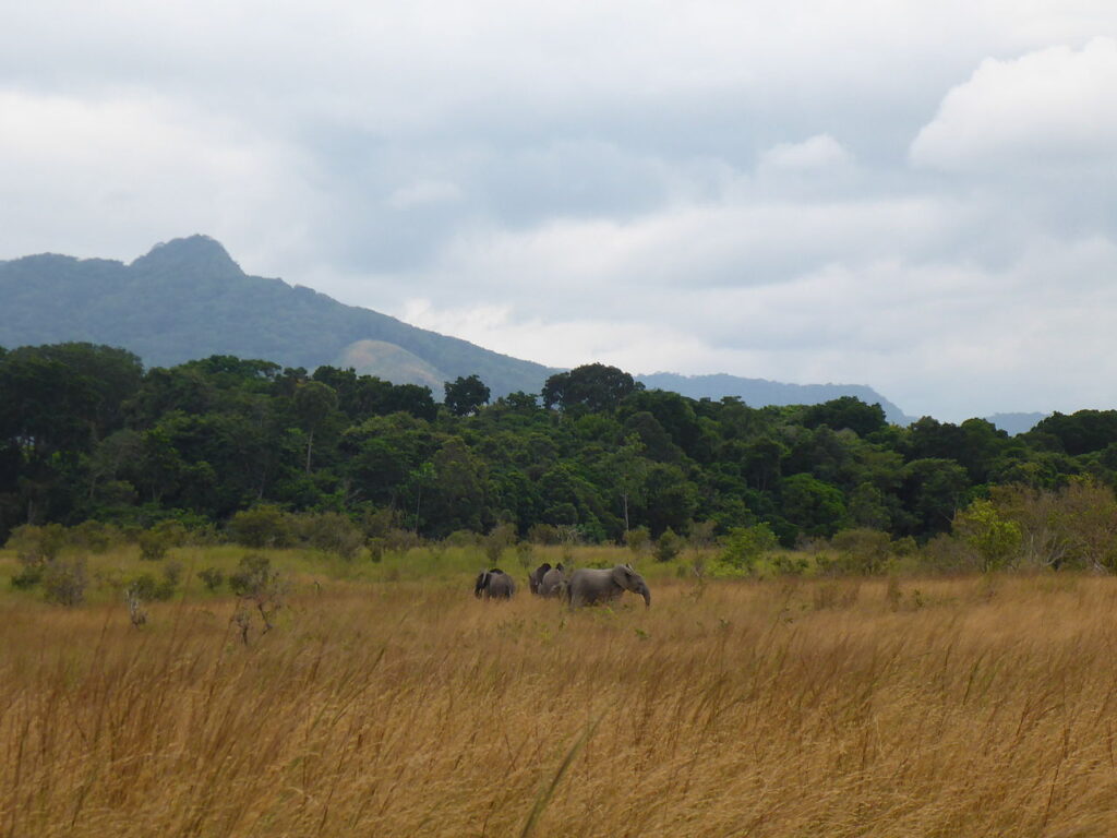 Gabon Africa Overland 