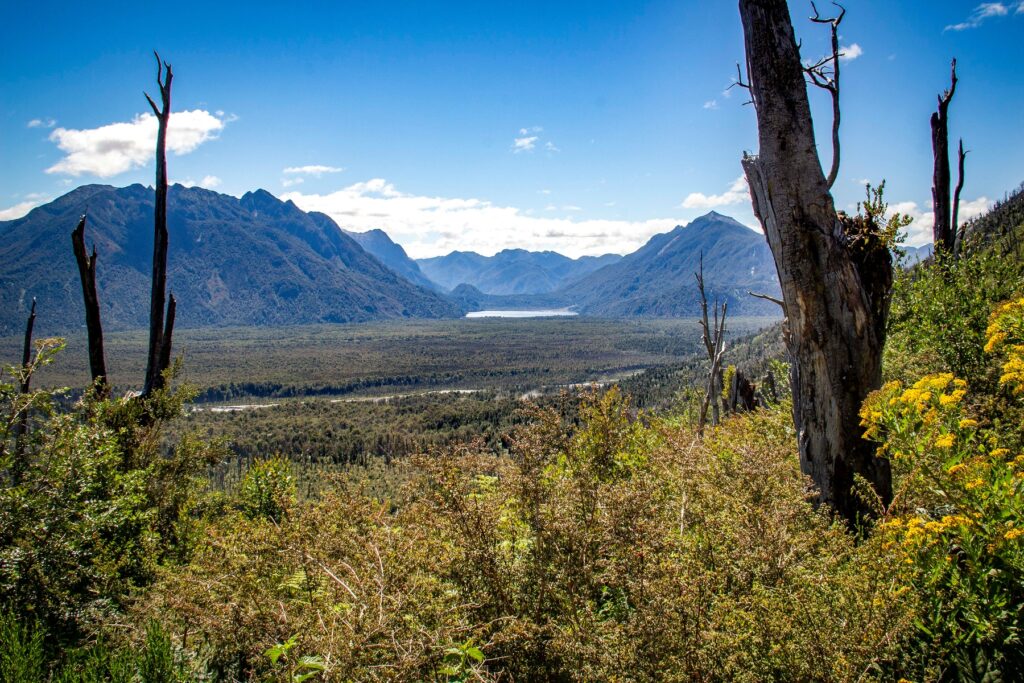 Pumalin National Park, Patagonia, Chile, with hot springs in the distance.