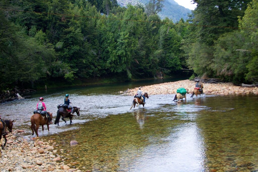 trek horse Cochamó