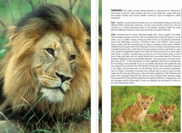 Bradt Tanzania: Northern Tanzania Safari Guidebook - Image 2