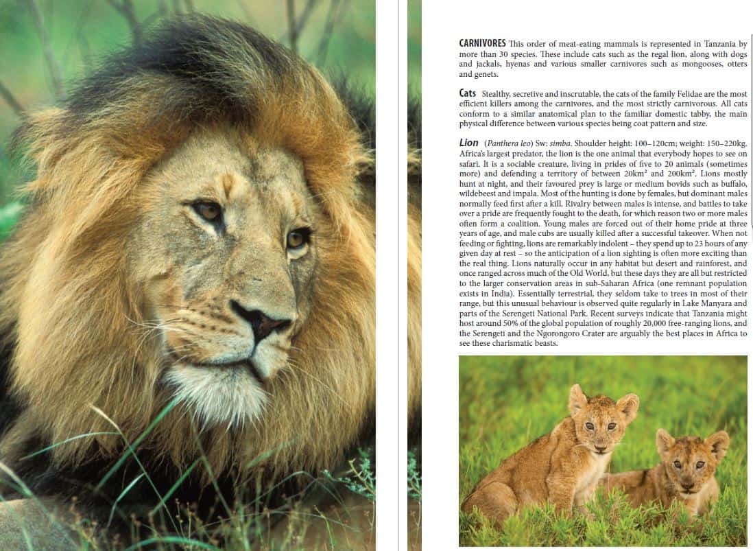 Bradt Tanzania: Northern Tanzania Safari Guidebook - Image 2