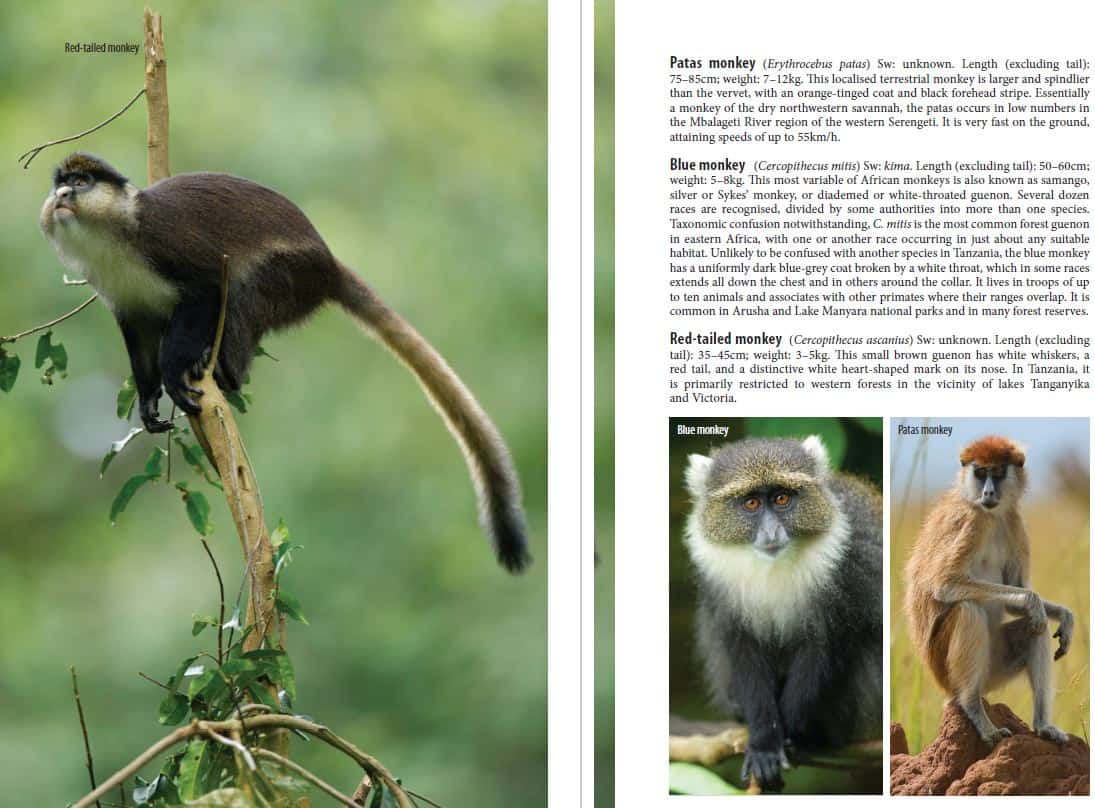 Bradt Tanzania: Northern Tanzania Safari Guidebook - Image 3