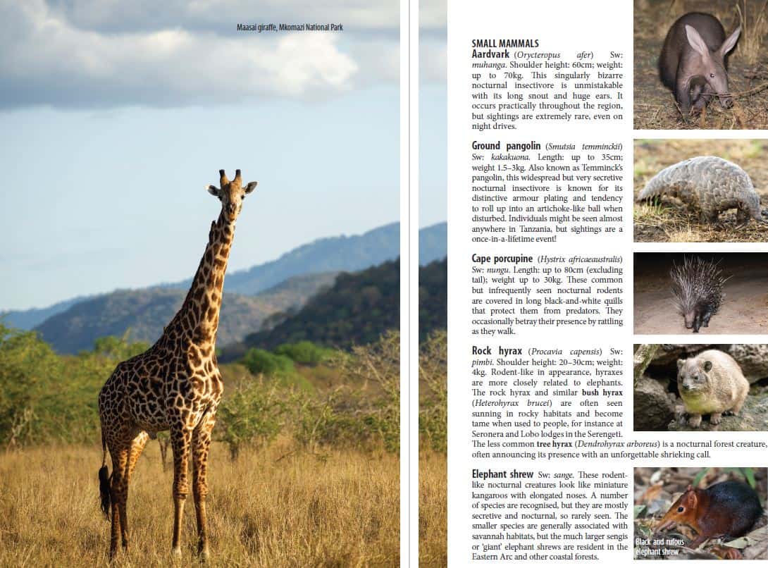 Bradt Tanzania: Northern Tanzania Safari Guidebook - Image 4