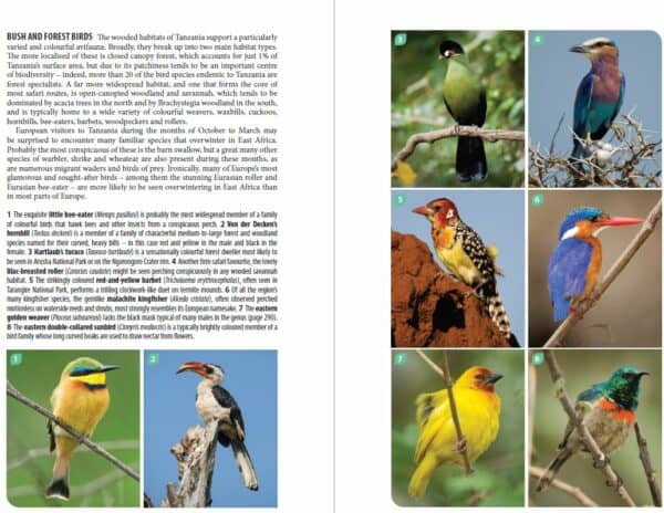 Bradt Tanzania: Northern Tanzania Safari Guidebook - Image 5