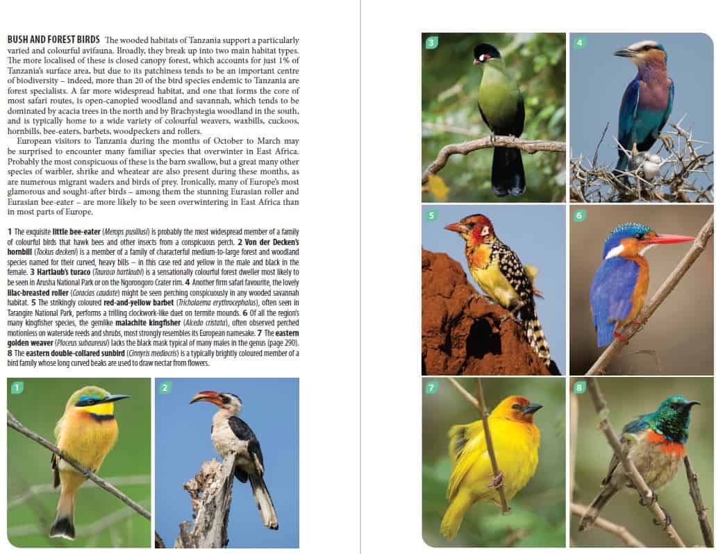 Bradt Tanzania: Northern Tanzania Safari Guidebook - Image 5