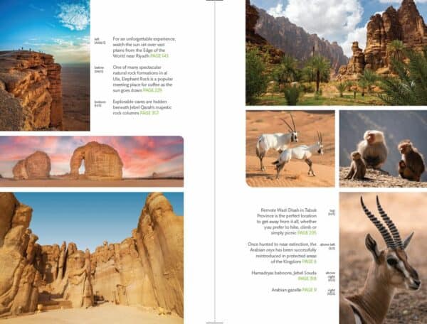 Bradt Saudi Arabia Guidebook - Image 4
