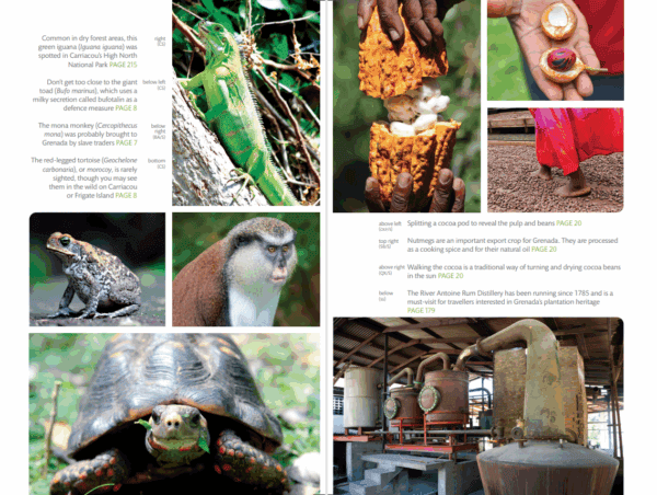 Bradt Grenada Guidebook - Image 5