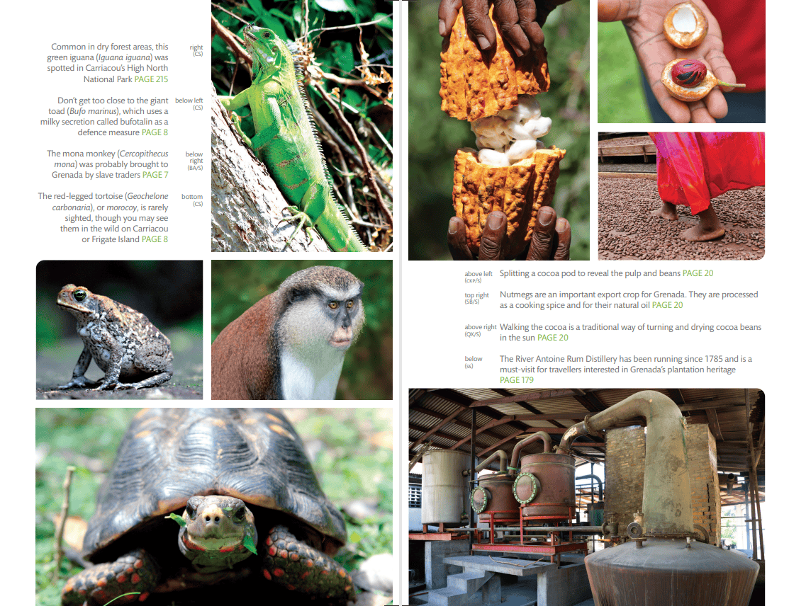 Bradt Grenada Guidebook - Image 5