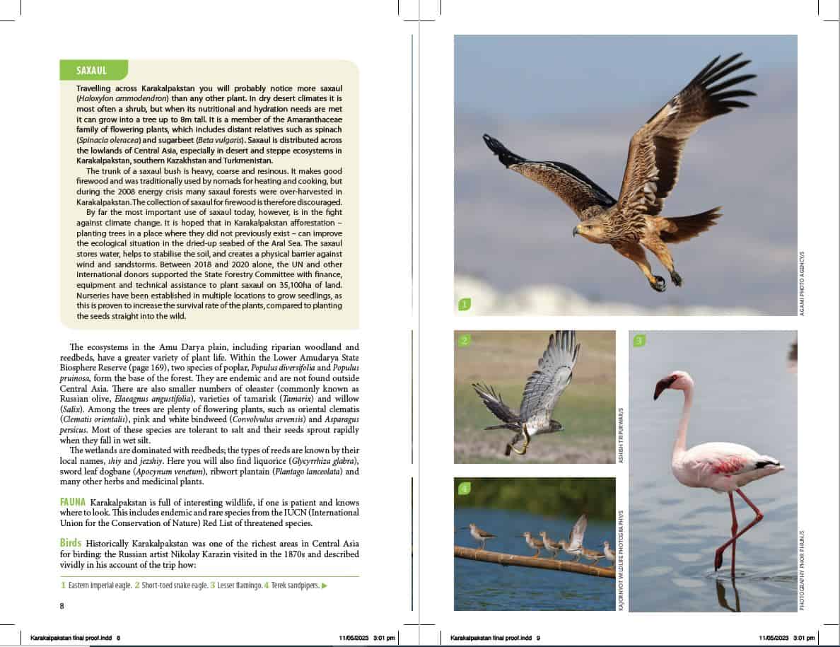 Bradt Uzbekistan Karakalpakstan Guidebook - Image 3