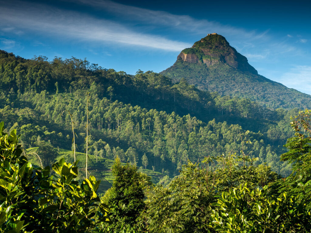 Adam's Peak Sri Lanka 