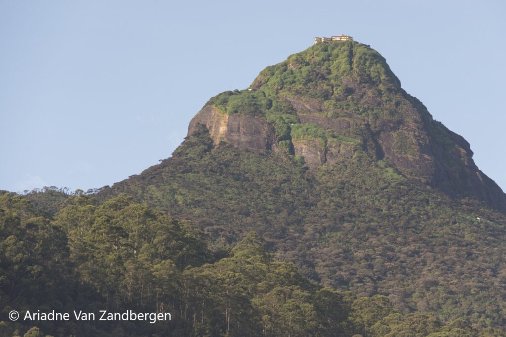 This image has an empty alt attribute; its file name is Adams_Peak_Sri_Lanka_Ariadne_Van_Zandbergen-1024x683.jpg