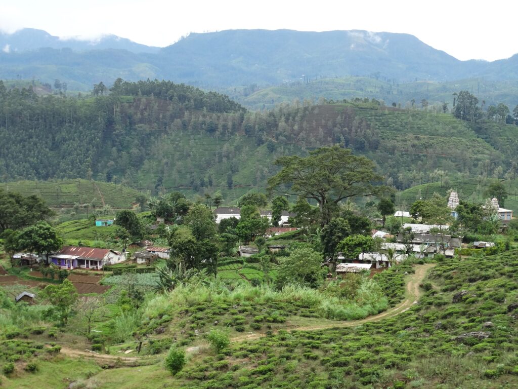 Sri Lanka's Hill County is a sea of greenery 
