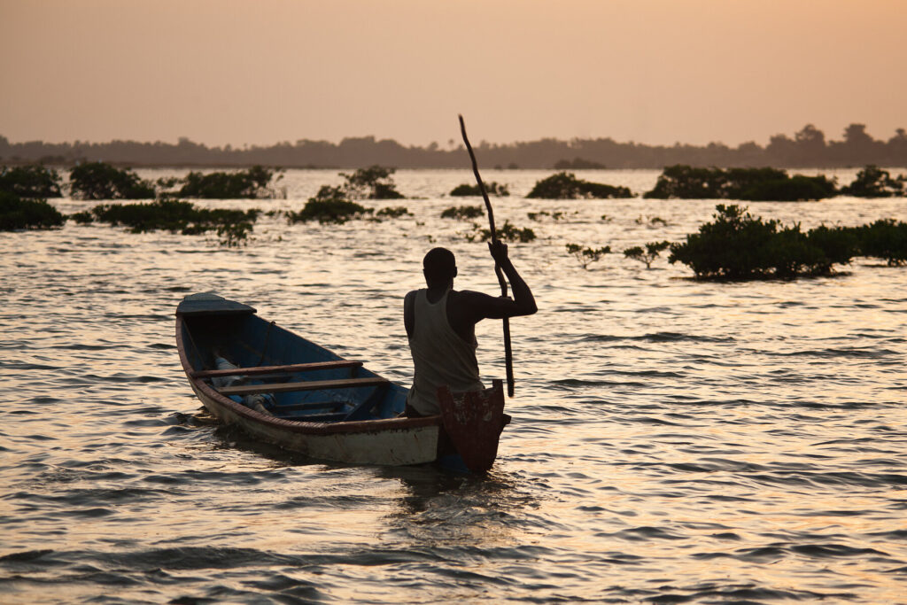 Coastal explorer: two weeks in Senegal