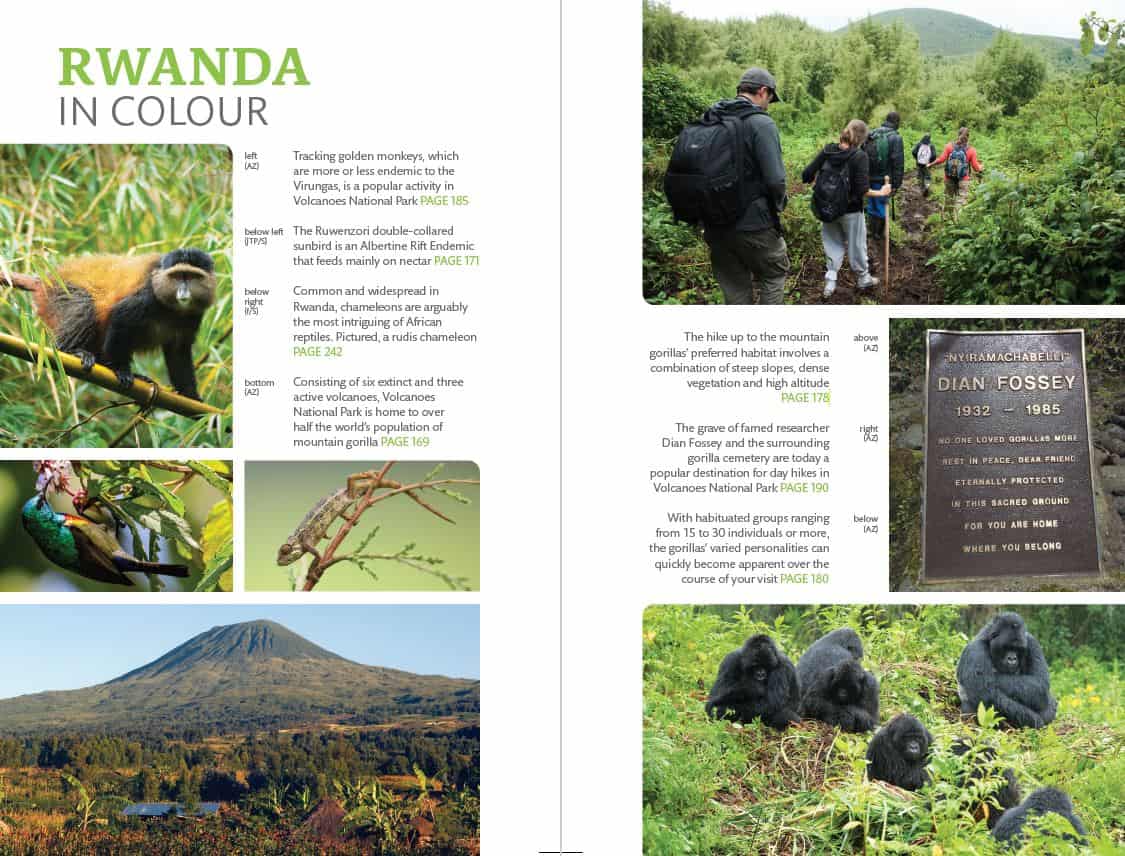 Bradt Rwanda Guidebook - Image 3