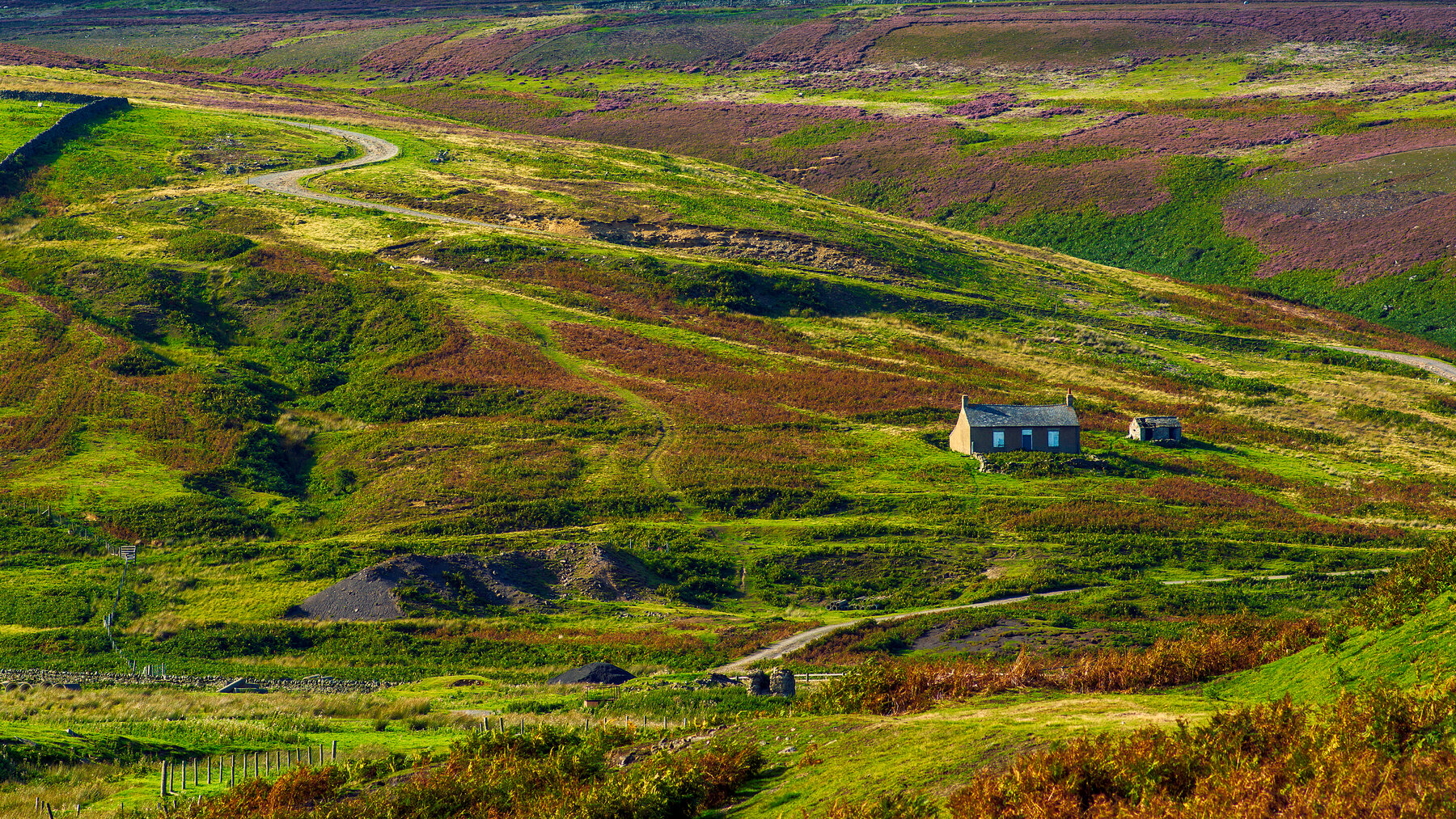 The best walks in County Durham for hikers 