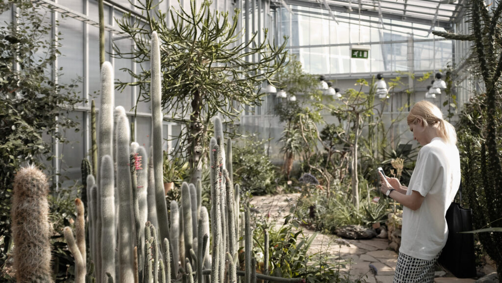 The Tallinn Botanical Gardens. 