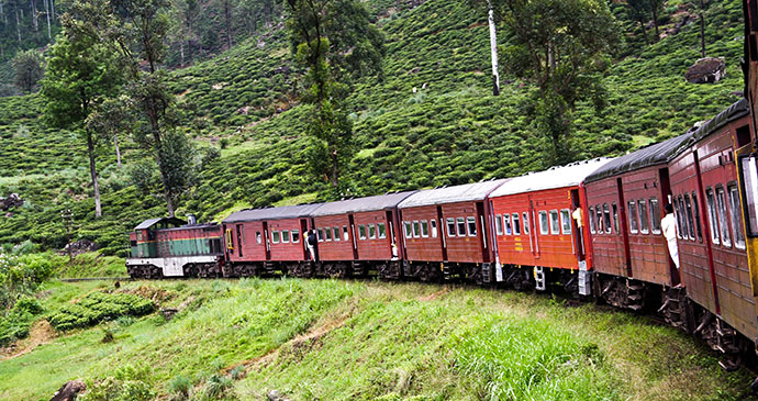 The Kelani Valley line train cuts through the Sri Lankan countryside. 