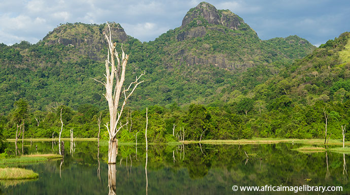 A sunny day in Gal Oya national park, Sri Lanka 