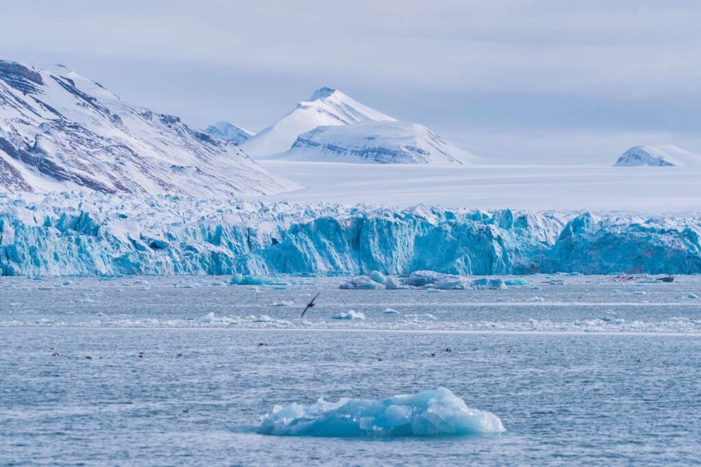 The icy landscapes of Svalbard. 