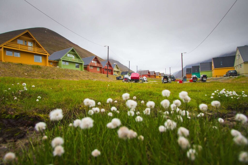 Longyearbyen is home to colourful wooden houses. 