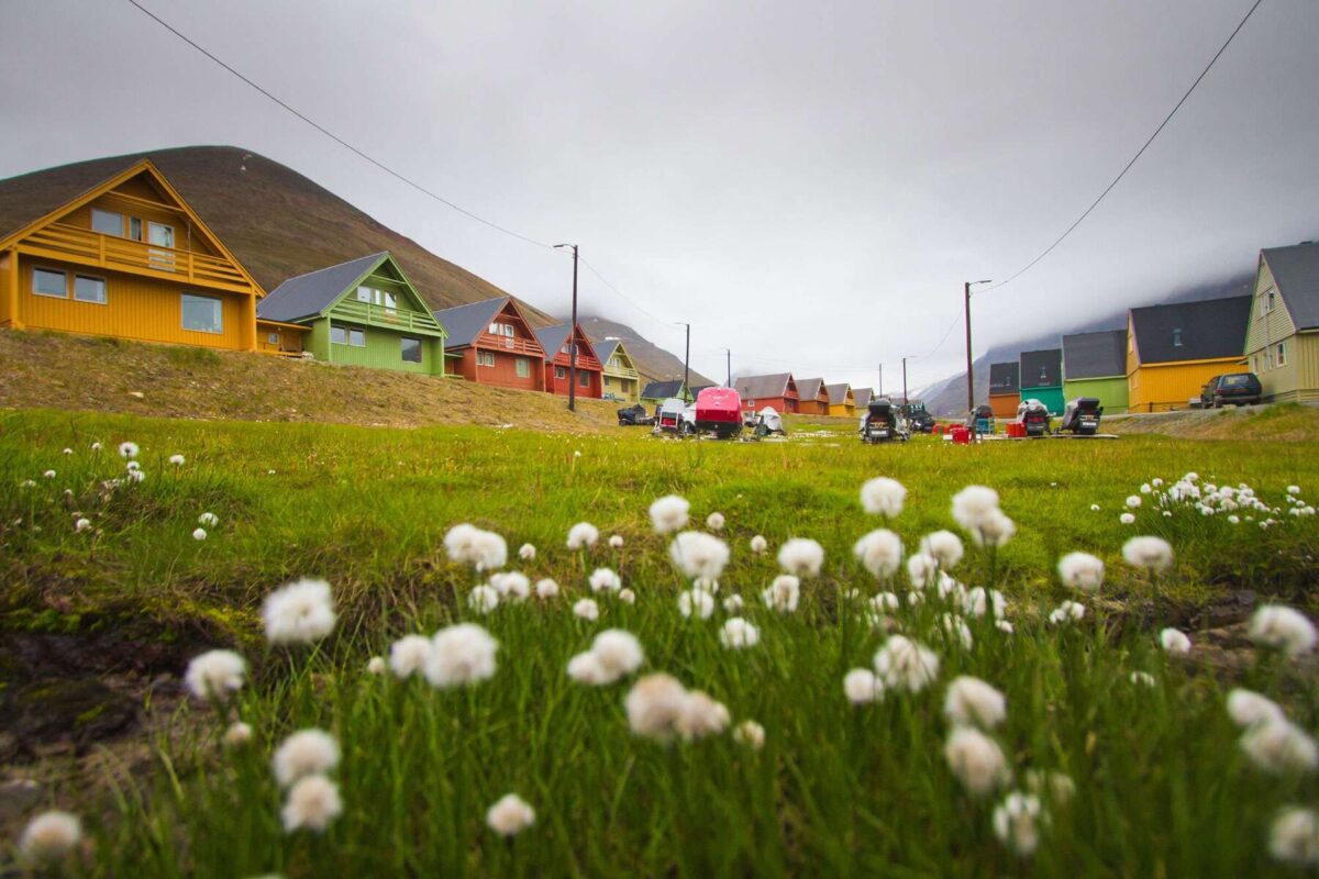 Five great reasons to visit Svalbard | Bradt Guides