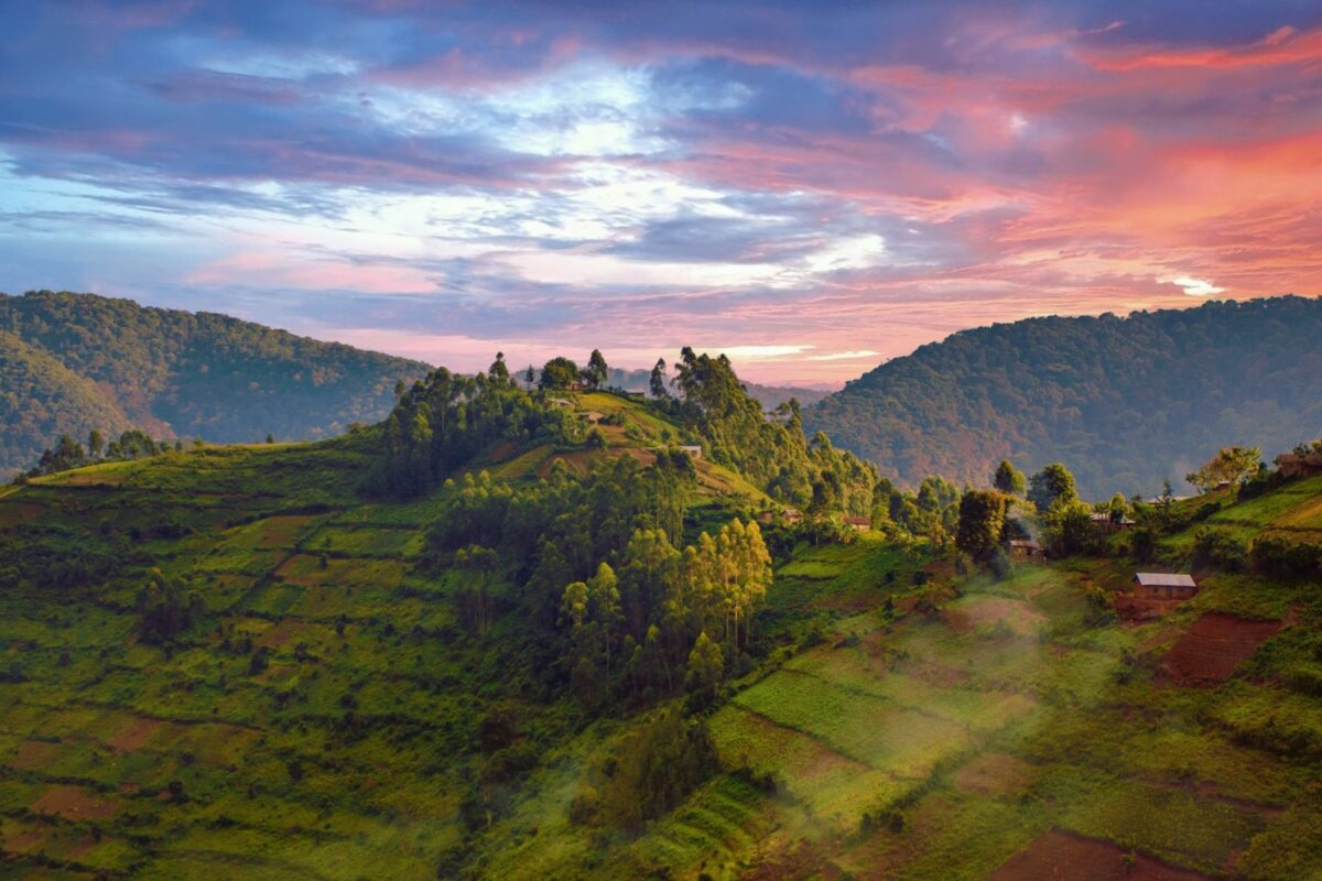 A sunset over hills in Bwindi Impenetrable National Park, Uganda