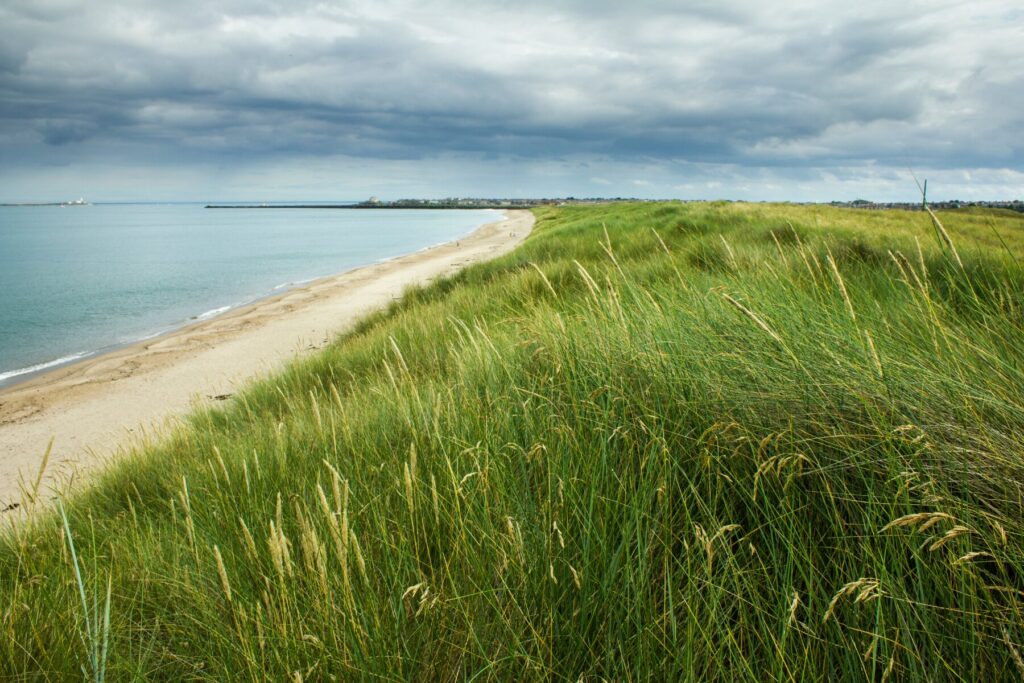 Warkworth Beach Northumbria 