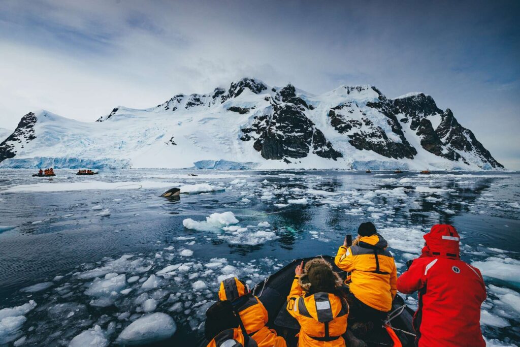 Groups of people watch orcas swim in Antarctic waters from their boats. 