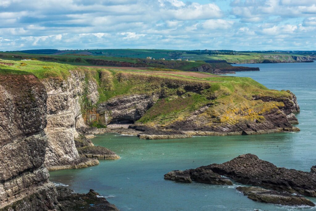 RSBP Fowlsheugh nature reserve in Scotland. 