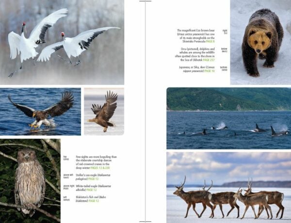Bradt Japan: Hokkaido Guidebook - Image 4