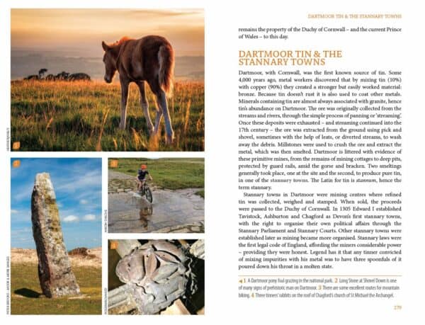 Bradt Devon: South Devon & Dartmoor (Slow Travel) Guidebook - Image 4