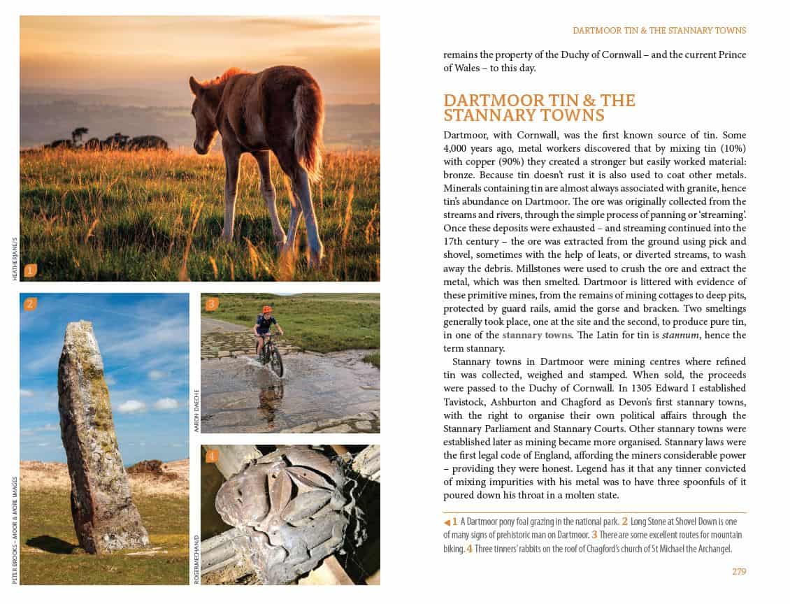 Bradt Devon: South Devon & Dartmoor (Slow Travel) Guidebook - Image 4