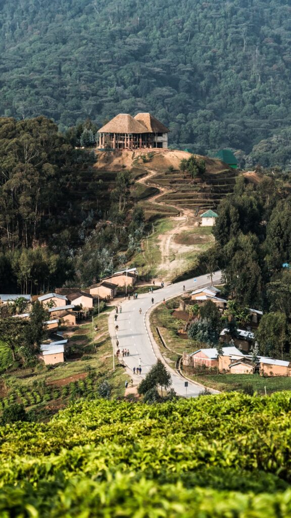 Road through the forest in Rwanda