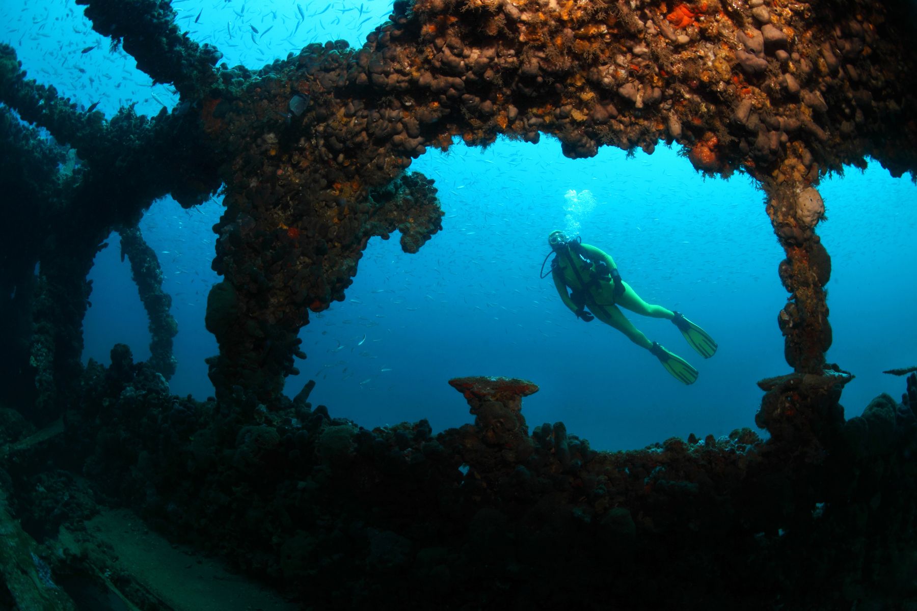 A scuba diver among the wreck of the Baron Gautsch, Istria