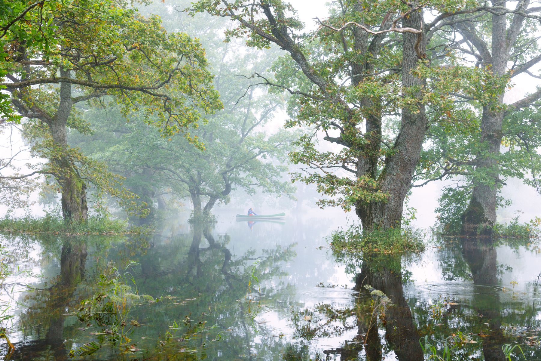 The Soomaa National Park during the flooded 'fifth season' in Estonia