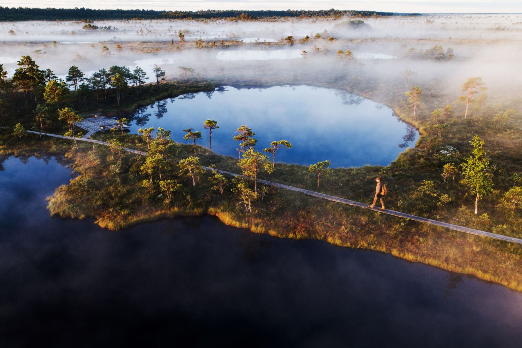 A figure walking along a plank-way on a trail in Estonia