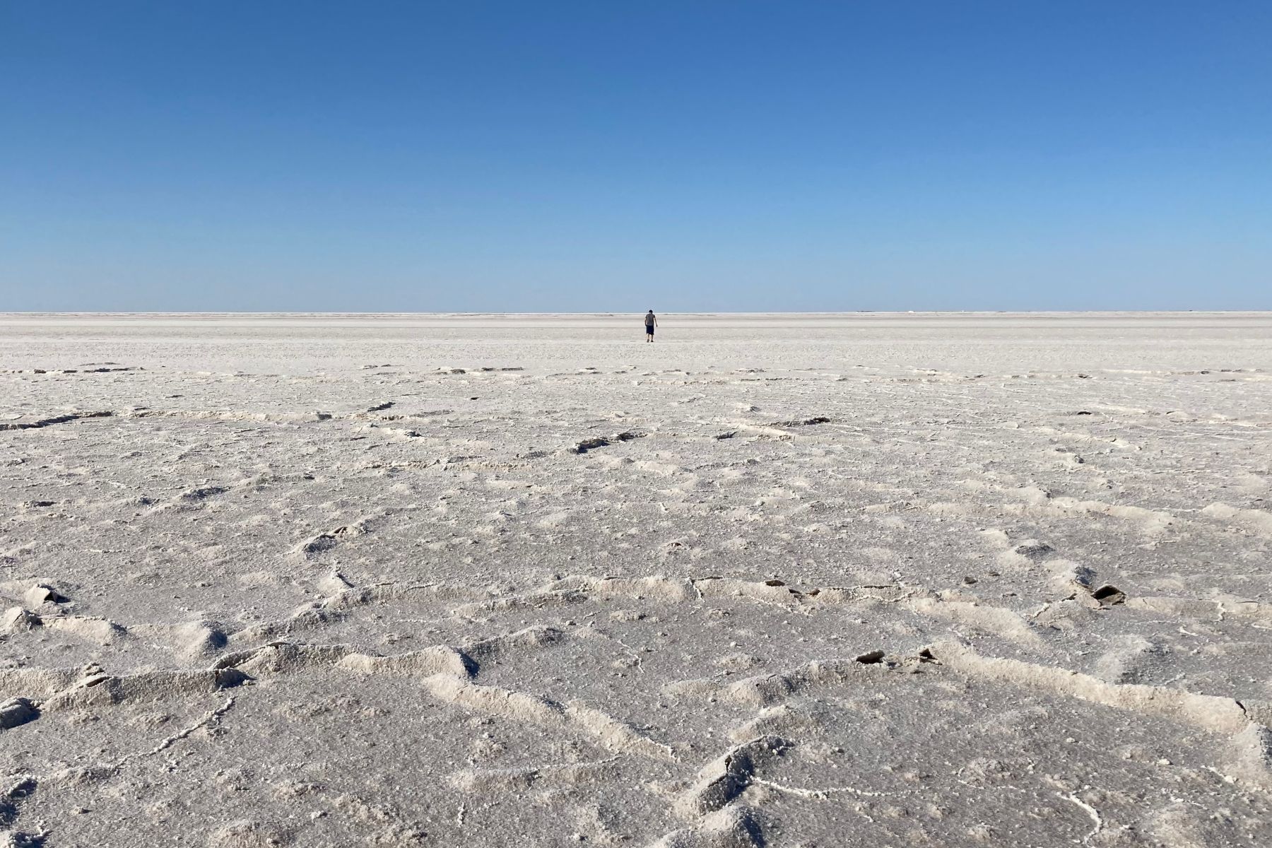 Salt flats with a lone figure, Barsakelmes, Karakalpakstan
