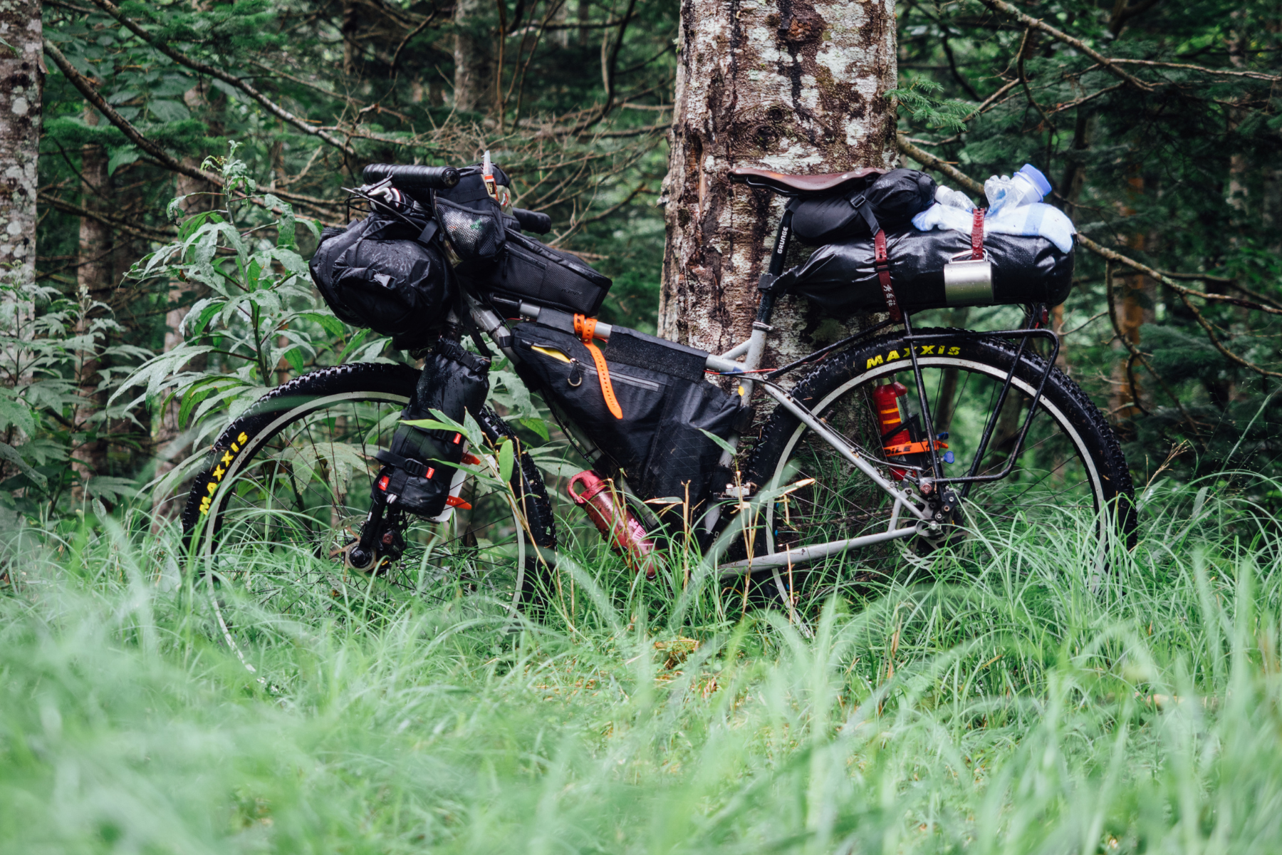 A bike laden with luggage leaning against a tree in a forest