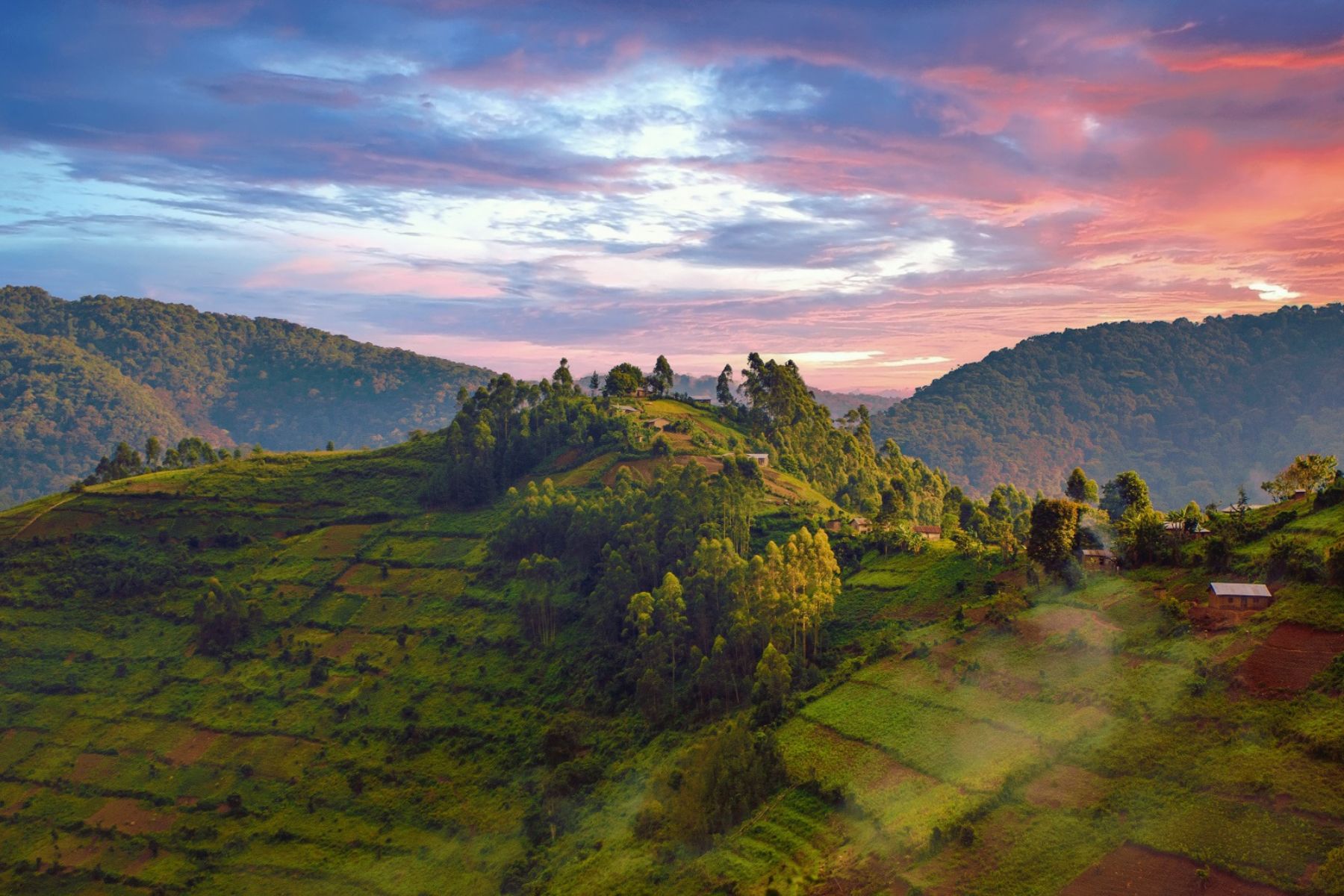 A landscape of the Bwindi impenetrable Forest National Park, Uganda