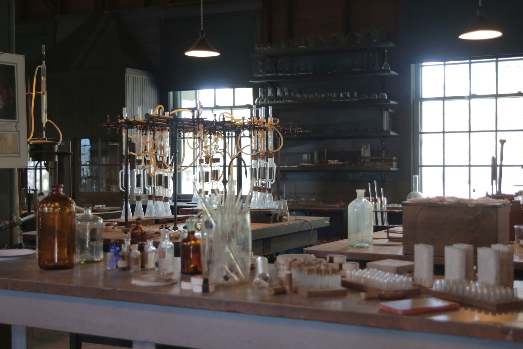 A preserved lab in the Edison Estates in Fort Myers, Florida