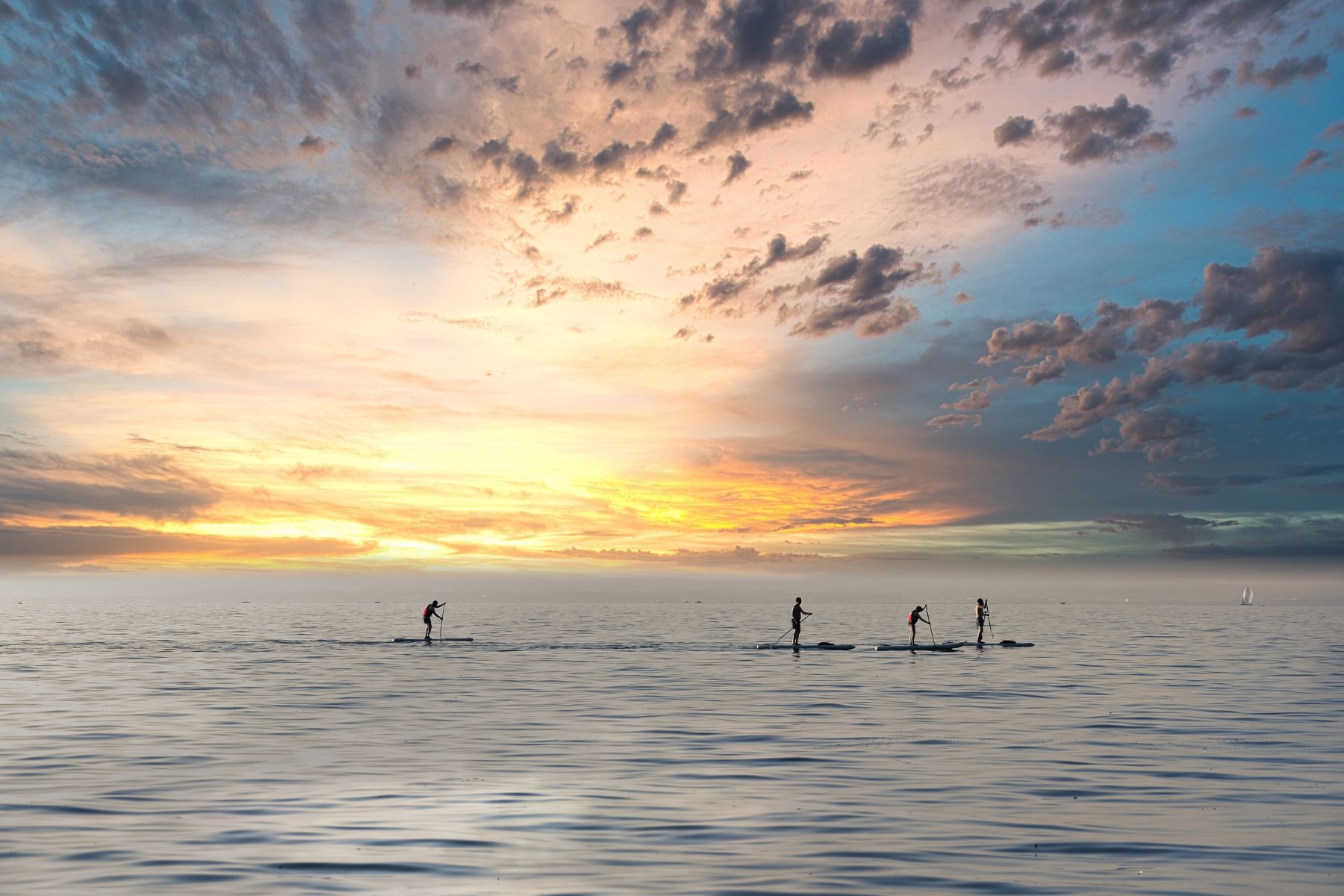 Paddle boarders on the ocean in front of the sunrise.